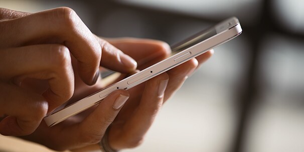 Descàrrega de catàlegs