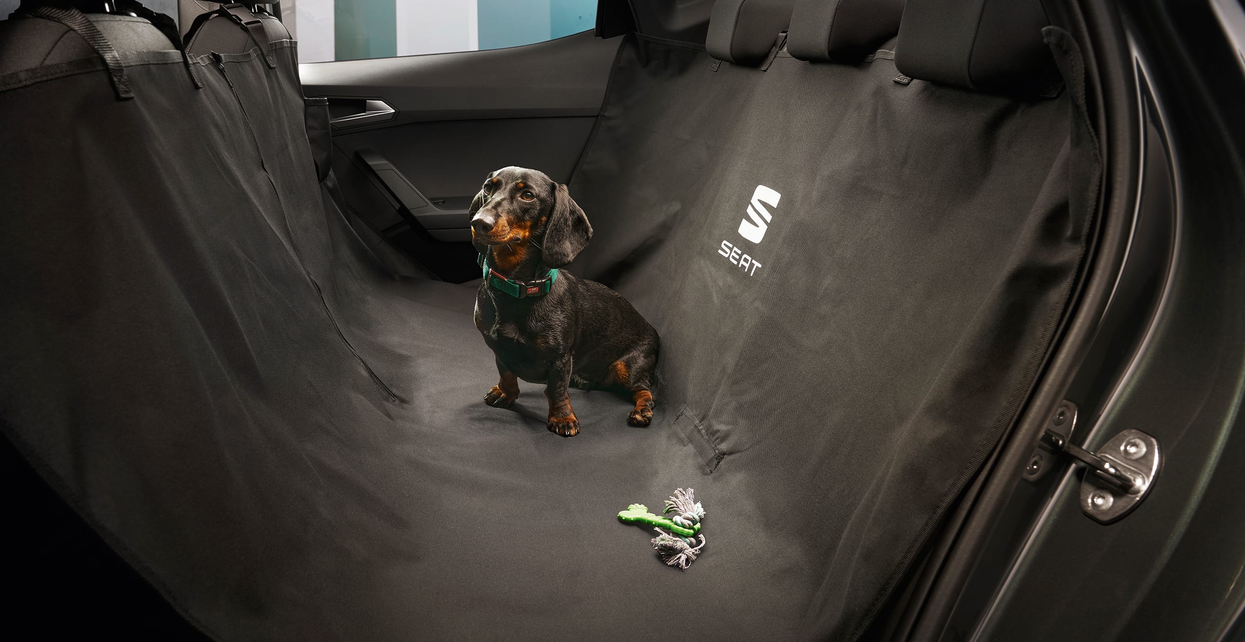Gos dins del SEAT Arona amb protecció del seient