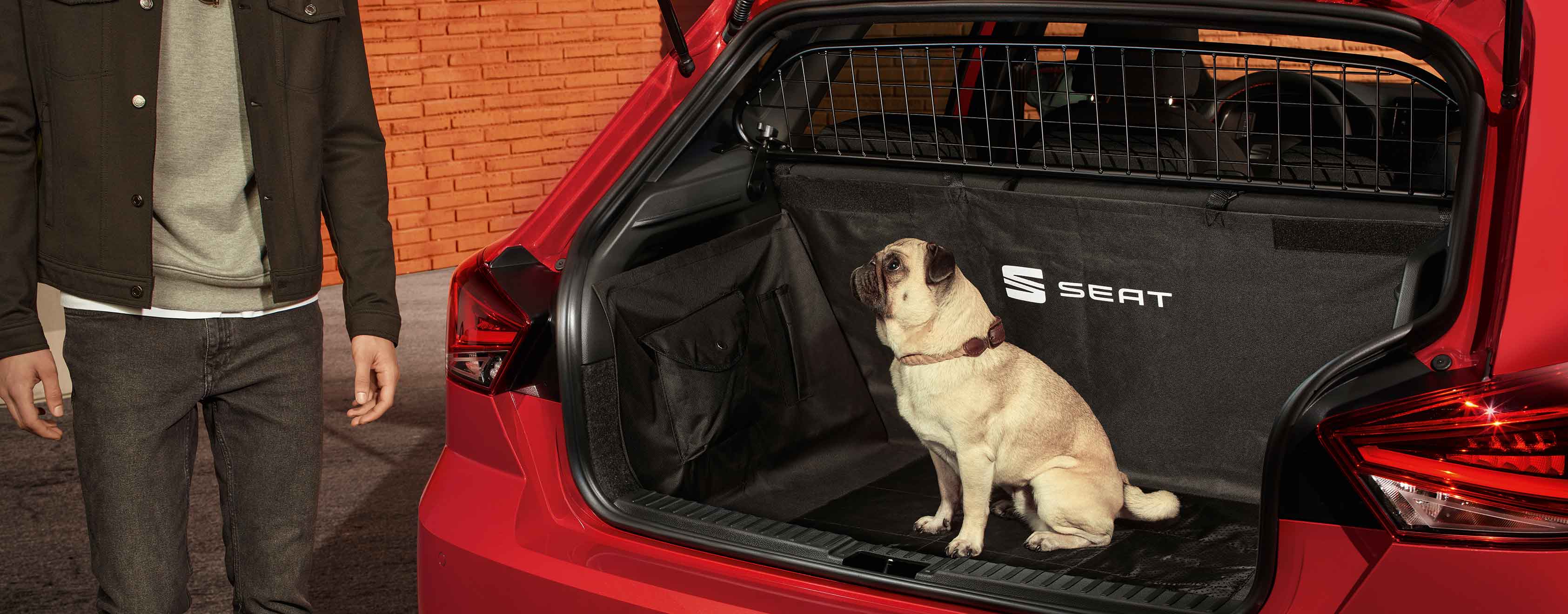 Gos assegut al maleter del SEAT Ibiza amb reixa de separació